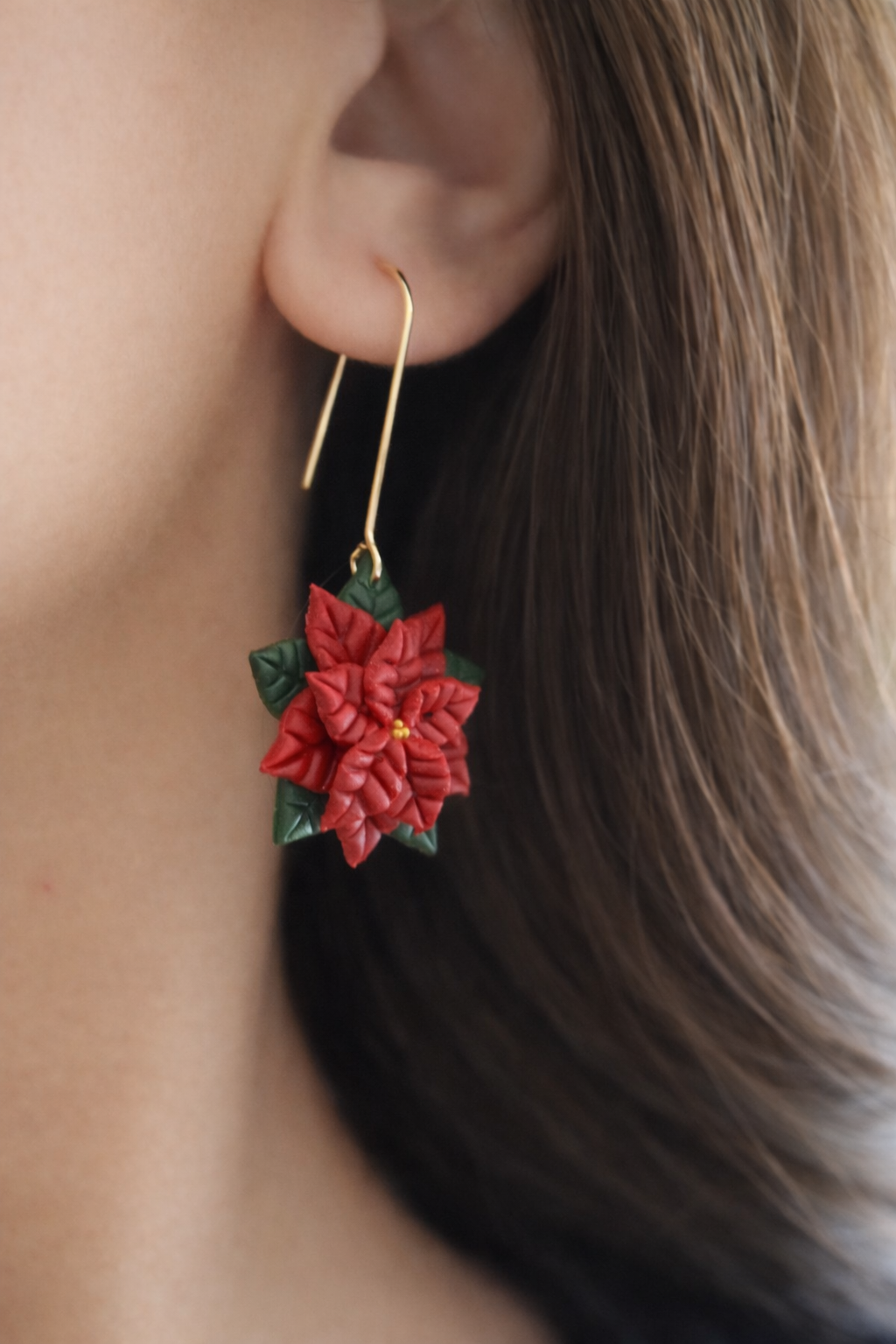 Poinsettias entières